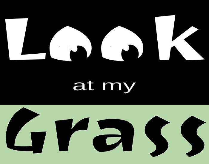 Copy of look at my grass
